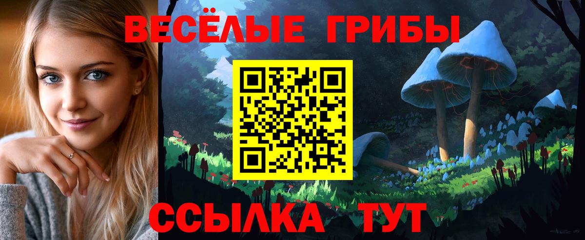 Галлюциногенные грибы GOLDEN TEACHER  Вход с VPN  Будённовск 