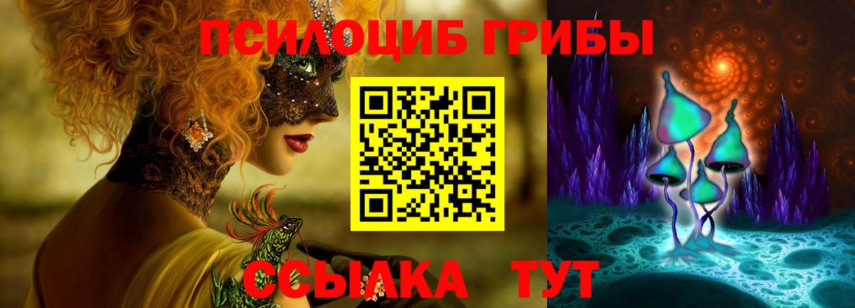 Галлюциногенные грибы прущие грибы Будённовск
